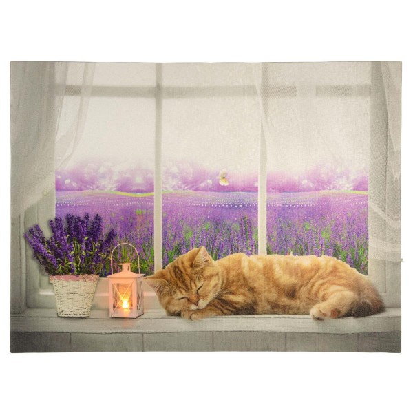 Wandbild mit Beleuchtung Leinwand 1 LED Katze am Fenster Timer 30 x 40 cm